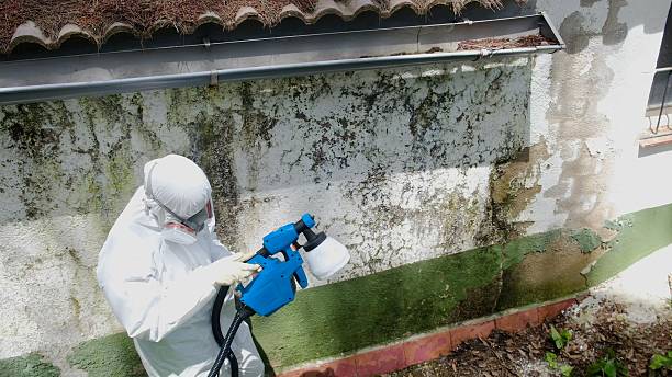 Top rated local Mold Remediation specialists in Lykens, PA